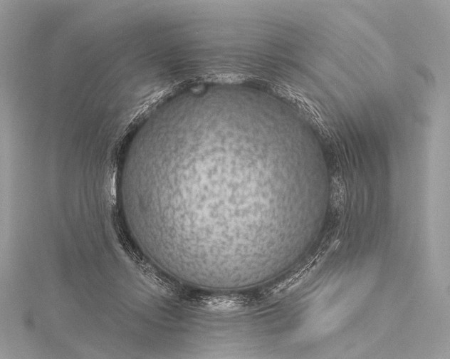 X0000115530358200911201724