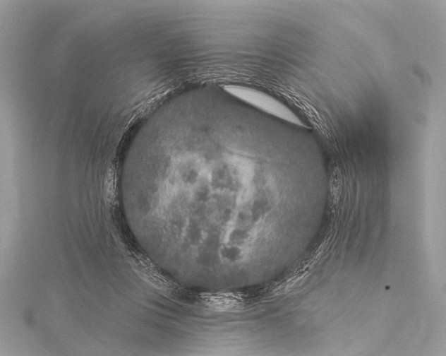 X0000115530359200911201724