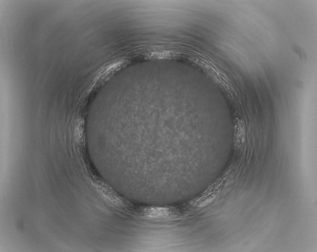 X0000115530361200911201724