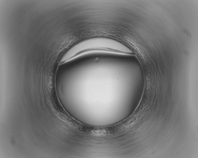 X0000115530362200911201724