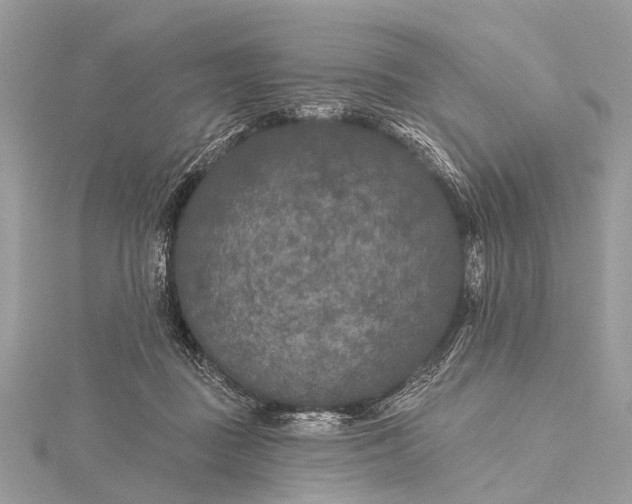 X0000115530363200911201724