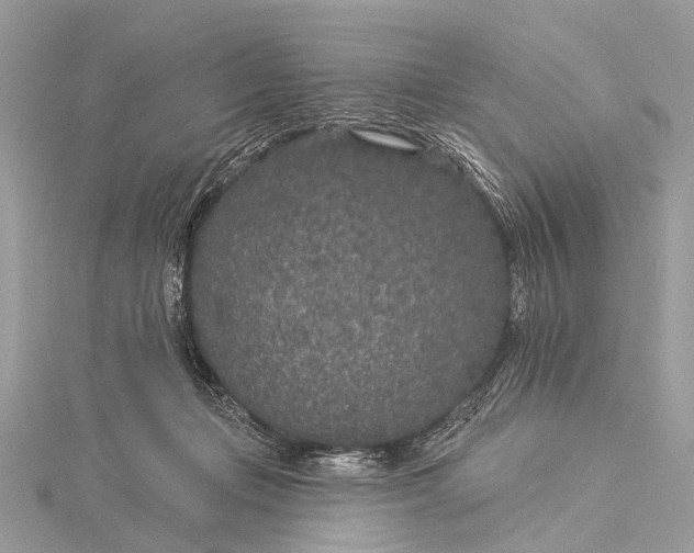 X0000115530365200911201724