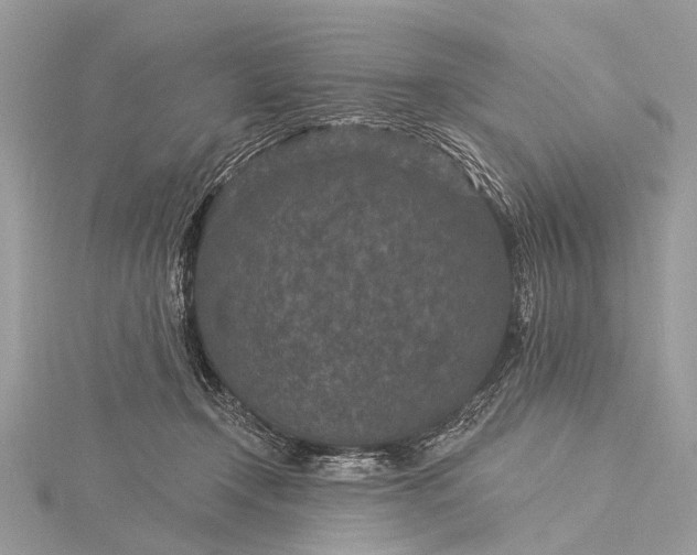 X0000115530366200911201724