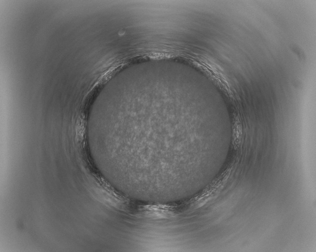 X0000115530367200911201724