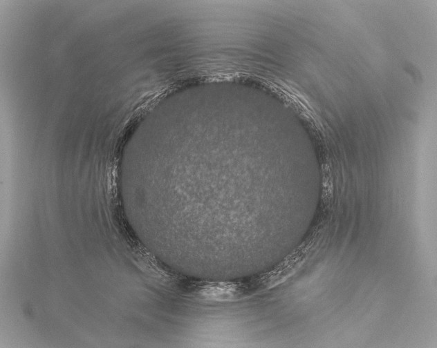 X0000115530369200911201724