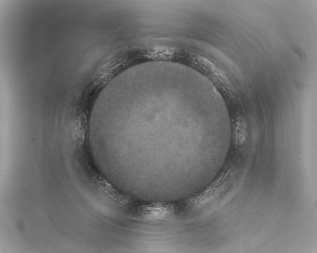 X0000115530370200911201724