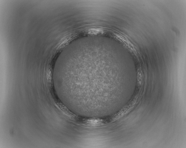 X0000115530375200911201724