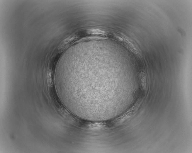 X0000115530378200911201724