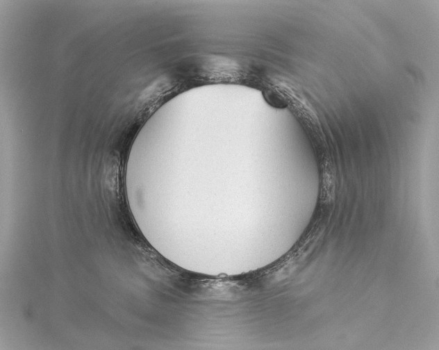 X0000115530379200911201724