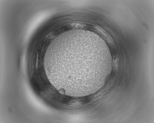 X0000115530381200911201724