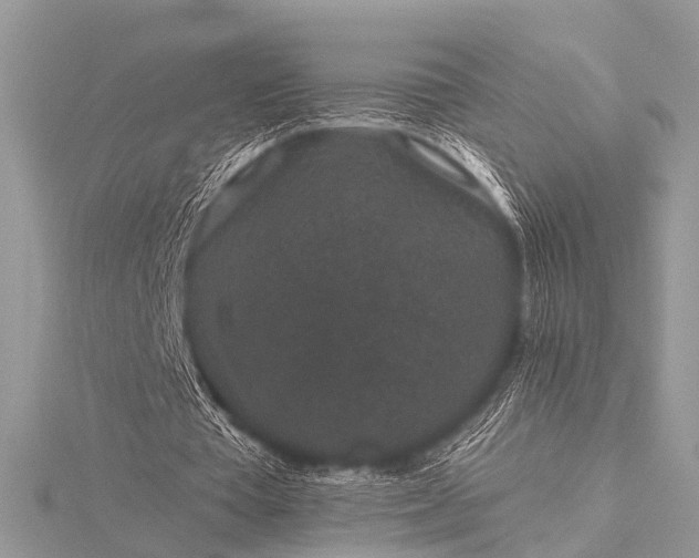 X0000115530385200911201724