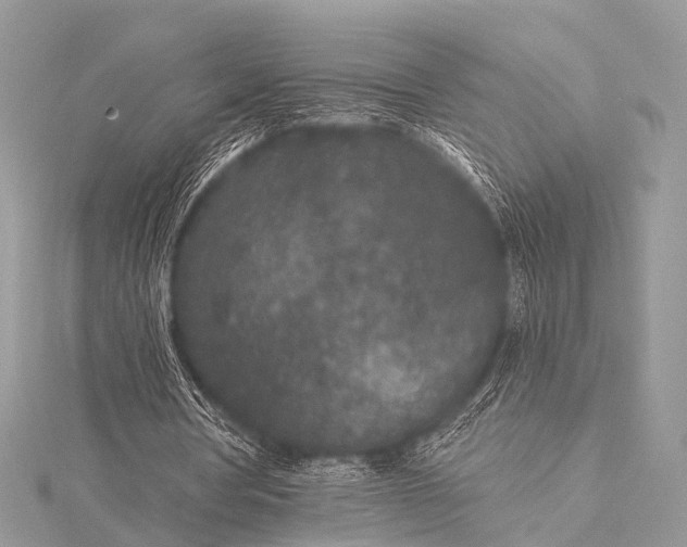 X0000115530386200911201724