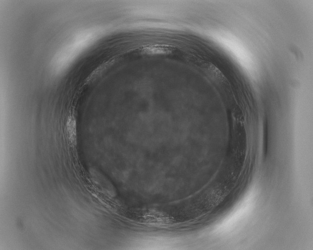 X0000115530387200911201724