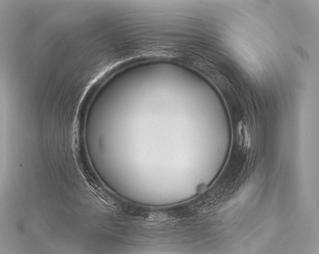 X0000115530388200911201724