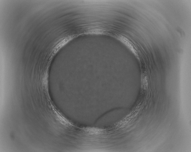 X0000115530389200911201724