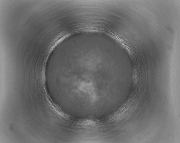 X0000115530390200911201724