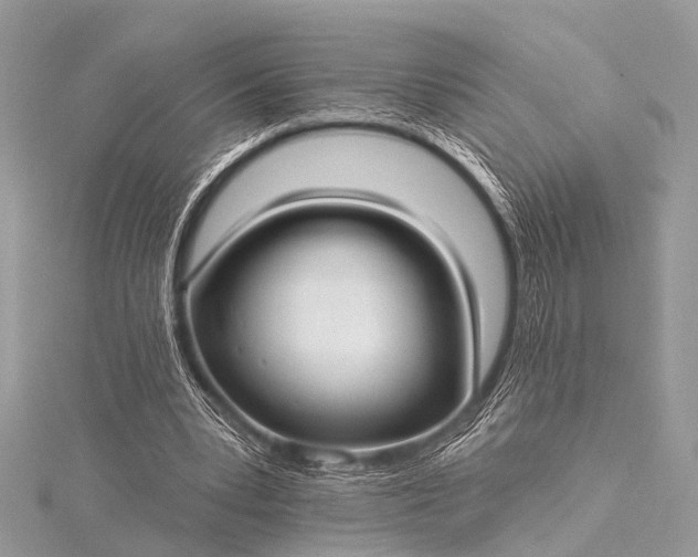 X0000115530391200911201724