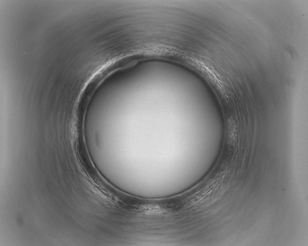 X0000115530392200911201724