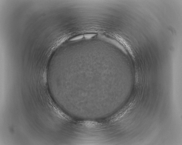 X0000115530393200911201724