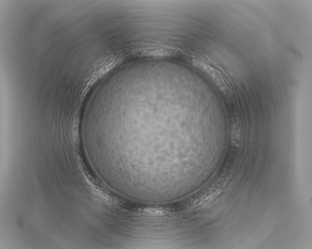 X0000115530394200911201724