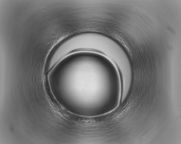 X0000115530395200911201724