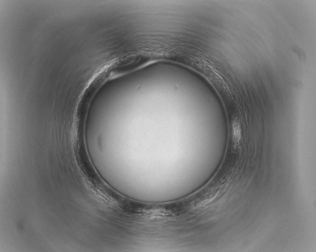 X0000115530396200911201724