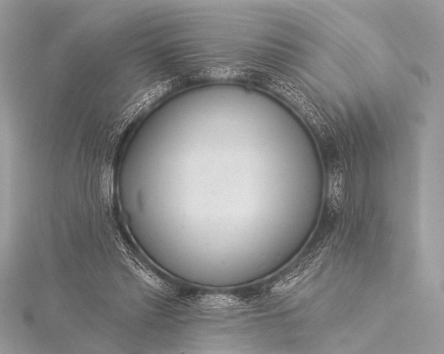 X0000115530397200911201724