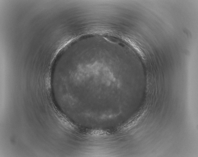 X0000115530399200911201724