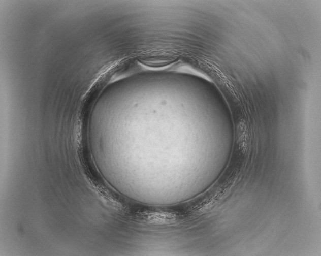 X0000115530400200911201724