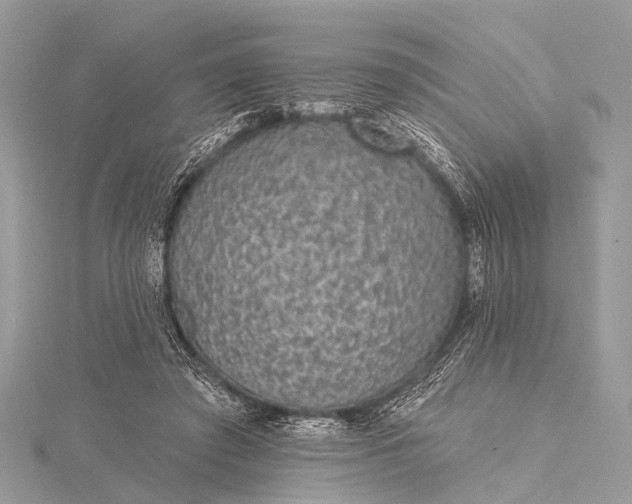 X0000115530401200911201724