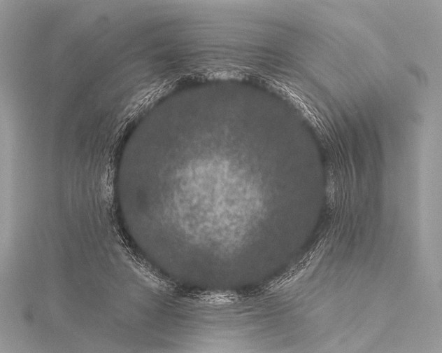 X0000115530402200911201724