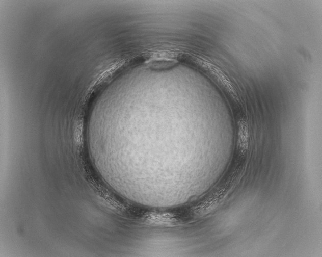 X0000115530403200911201724