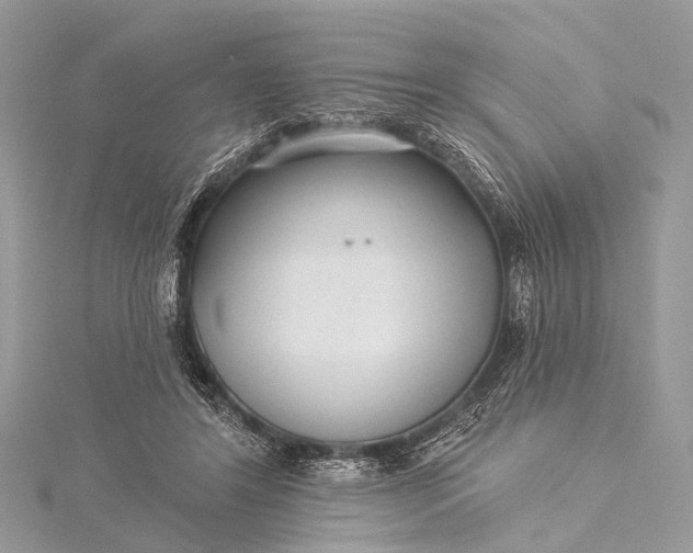 X0000115530404200911201724