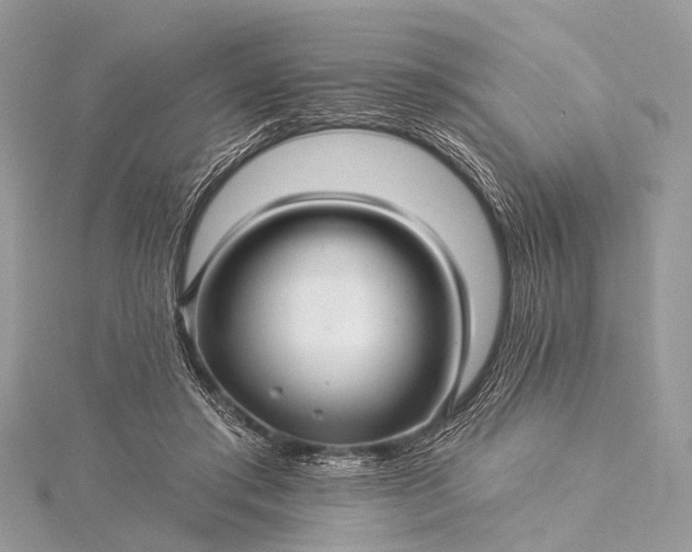 X0000115530405200911201724