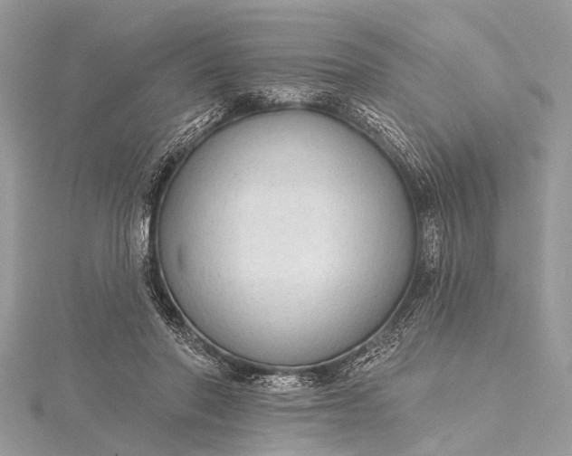 X0000115530406200911201723