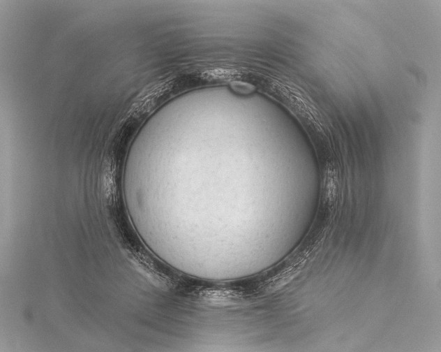 X0000115530408200911201723