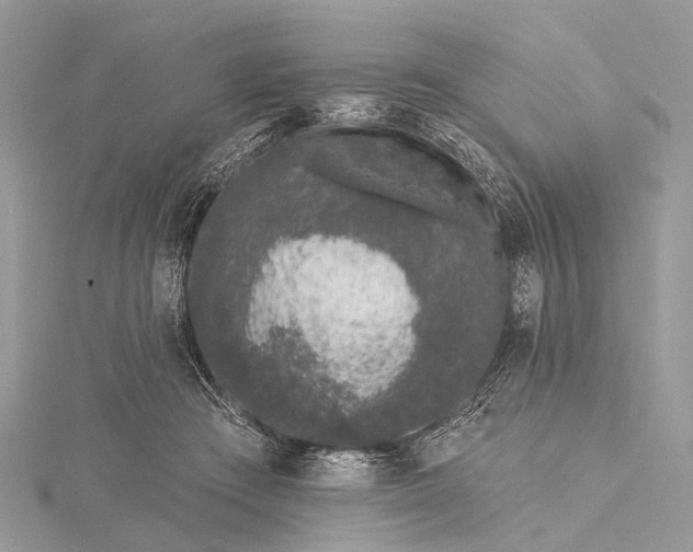 X0000115530409200911201723