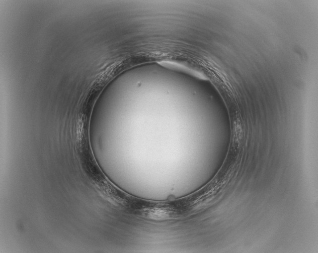 X0000115530412200911201723