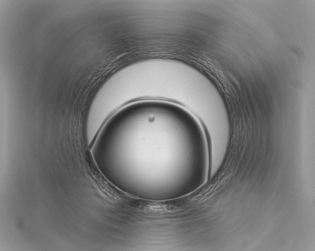 X0000115530413200911201723