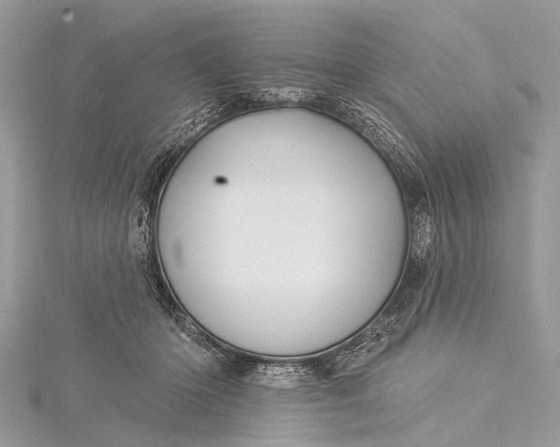 X0000115530414200911201723