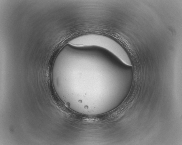 X0000115530415200911201723