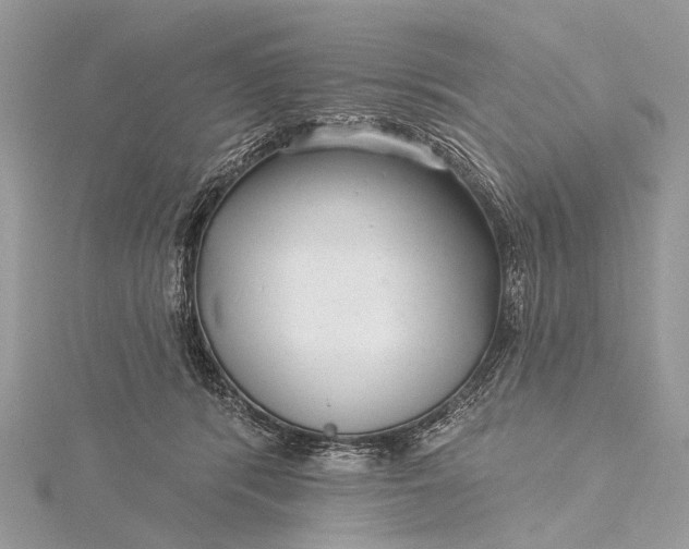 X0000115530416200911201723