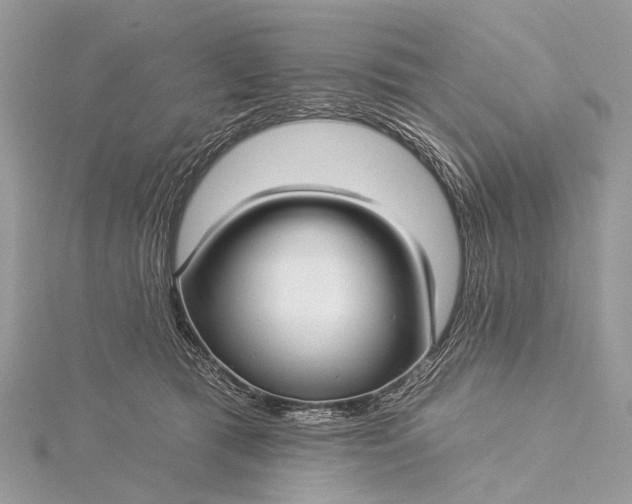 X0000115530417200911201723