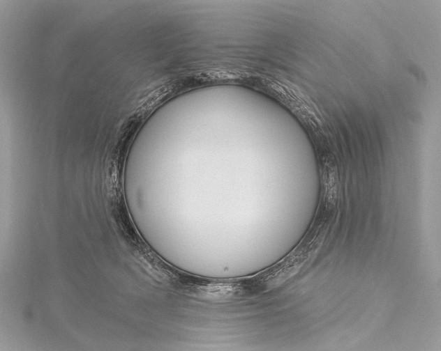 X0000115530418200911201723