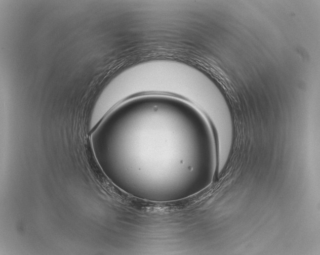 X0000115530419200911201723