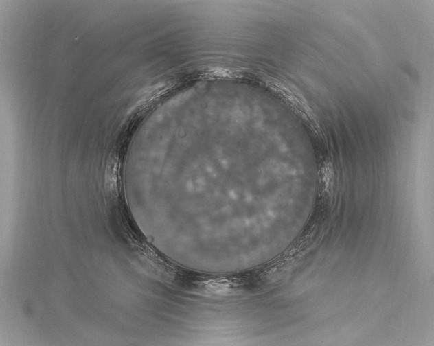 X0000115530423200911201723