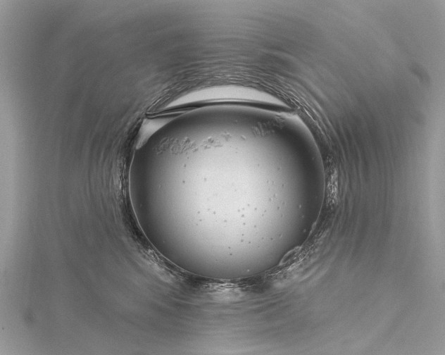 X0000115530424200911201723