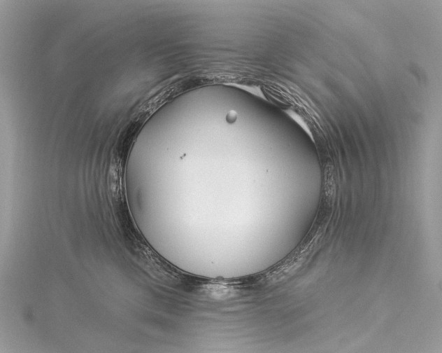 X0000115530425200911201723