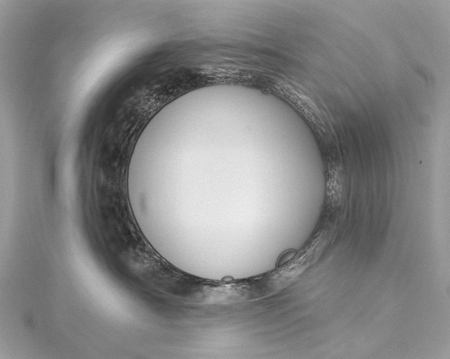 X0000115530430200911201723