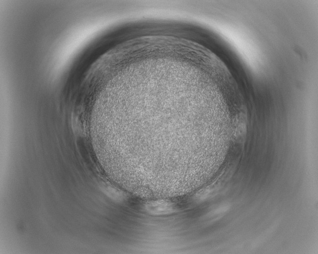 X0000115530431200911201723